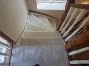 Carpet Cleaning